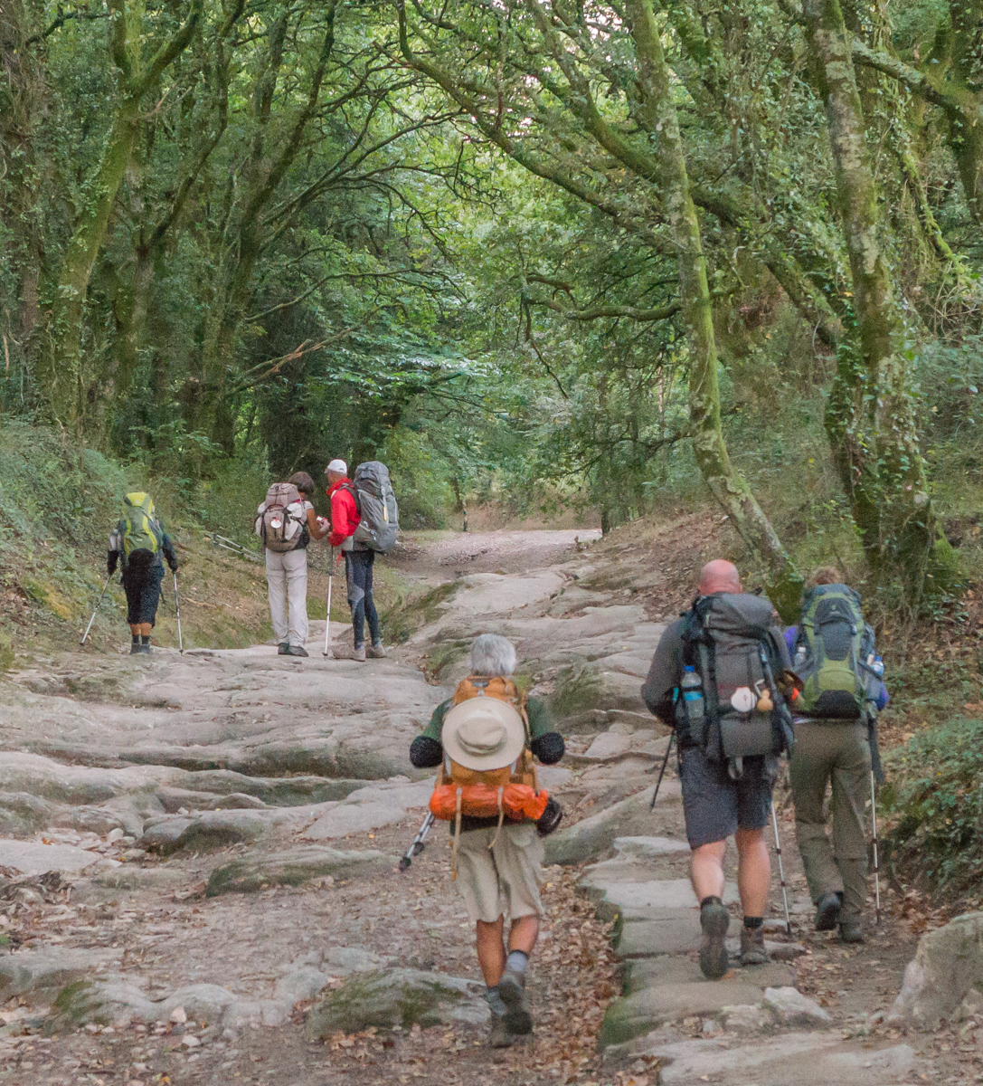 A rocky section of the Camino Francs approximately 4.6 km (2.9 miles) west of Palas de Rei, Spain | Photo by Mike Hudak