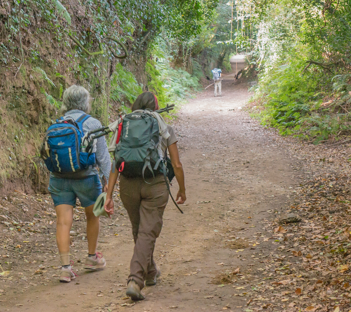 Pilgrims on the Camino Francés approximately 16.3 km (10.1 miles) from Santiago | Photo by Mike Hudak