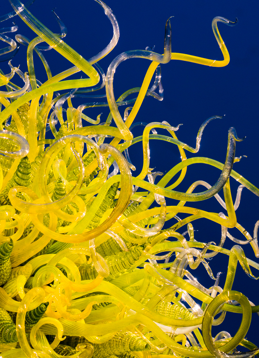 Dale Chihuly glass sculpture SOL DEL CITRON at the New York Botanical Garden (2017) | Photo by Mike Hudak.