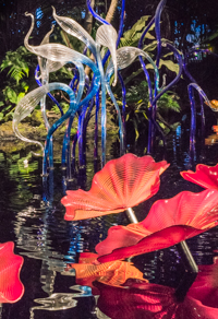 Dale Chihuly sculpture PERSIAN POND AND FIORI at the New York Botanical Garden (2017). Photo by Mike Hudak.