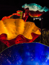 Dale Chihuly sculpture MACCHIA FOREST at the New York Botanical Garden (2017). Photo by Mike Hudak