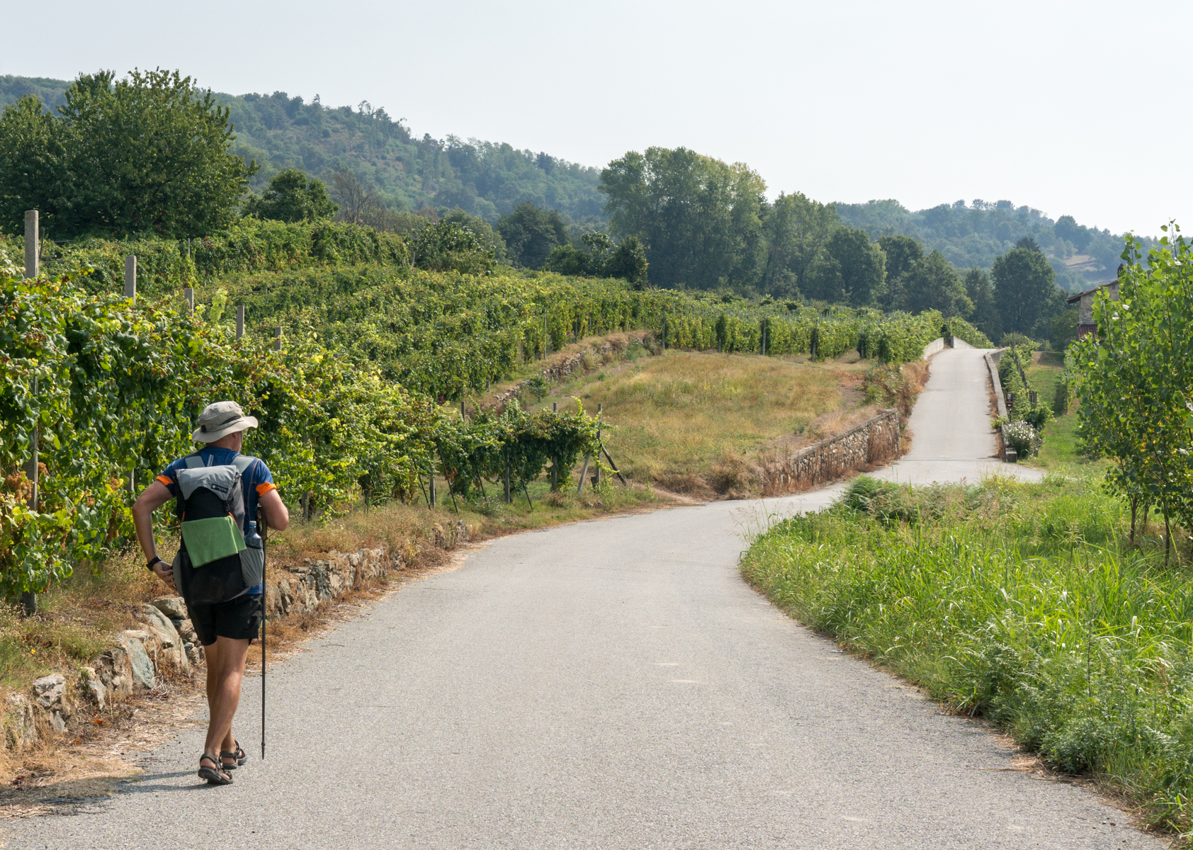 Pilgrim on the Via Francigena as it passes between vineyards east of Lago di Viverone, Italy | Photo by Mike Hudak