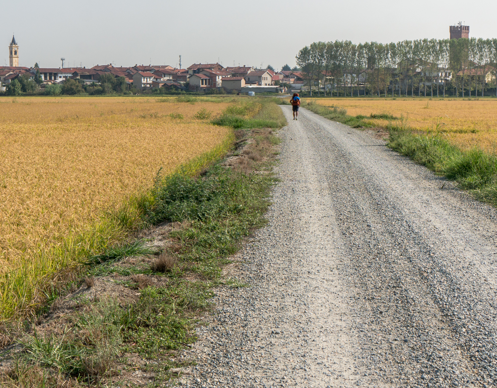 A pilgrim approaches Robbio, Italy, on the Via Francigena | Photo by Mike Hudak