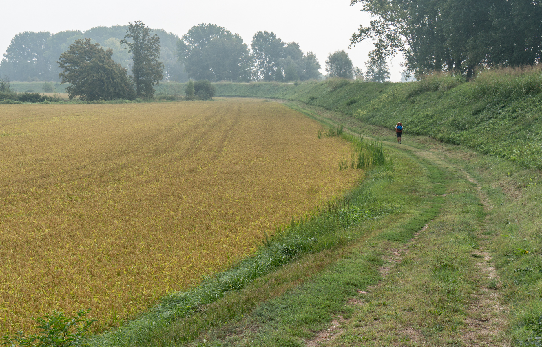 A pilgrim on the Via Francigena enters the Parco Ticino, Italy | Photo by Mike Hudak