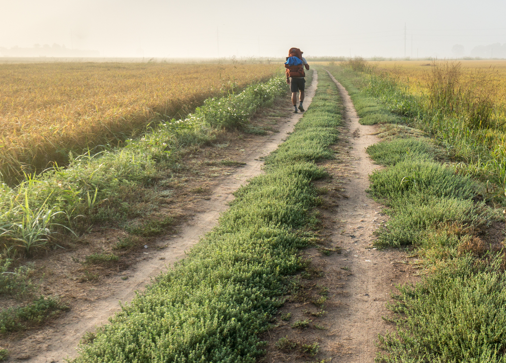 Under a bright, hazy sky a pilgrim on the Via Francigena heads toward Gropello Cairoli, Italy | Photo by Mike Hudak