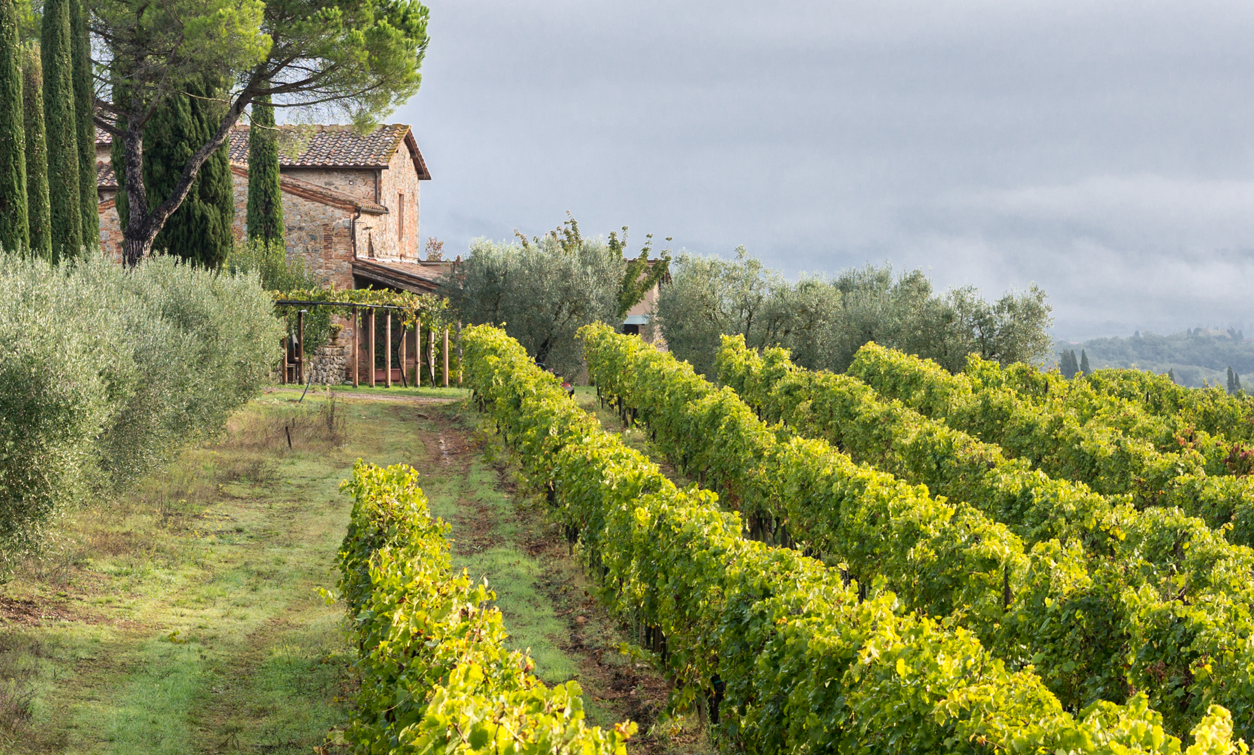 House and vineyard along the Via Francigena approximately 2 km (1.2 miles) south of Monteriggioni, Italy | Photo by Mike Hudak