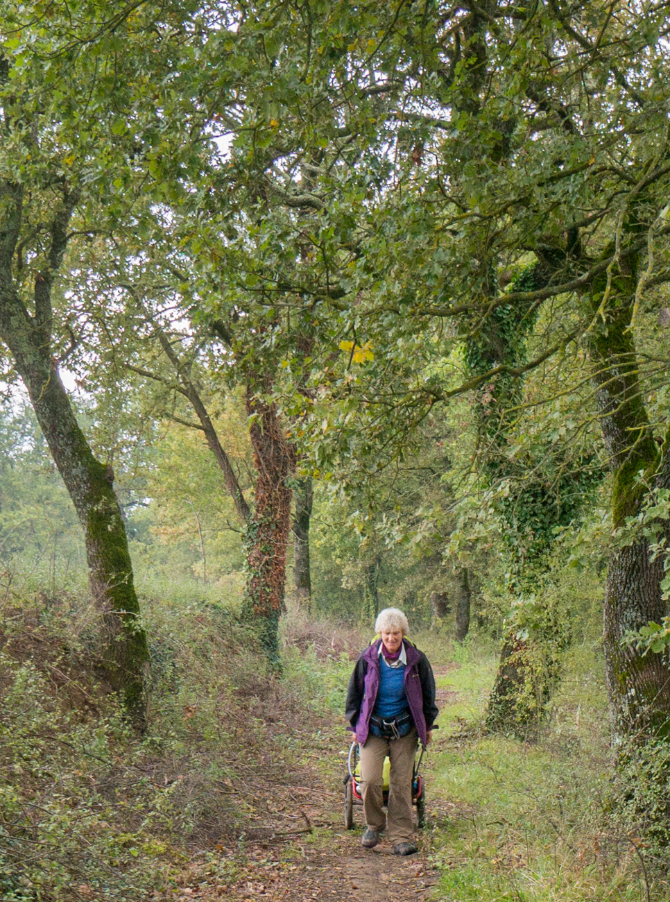 A pilgrim on the Via Francigena in Tuscana south of Ponte d'Arbia, Italy | Photo by Mike Hudak